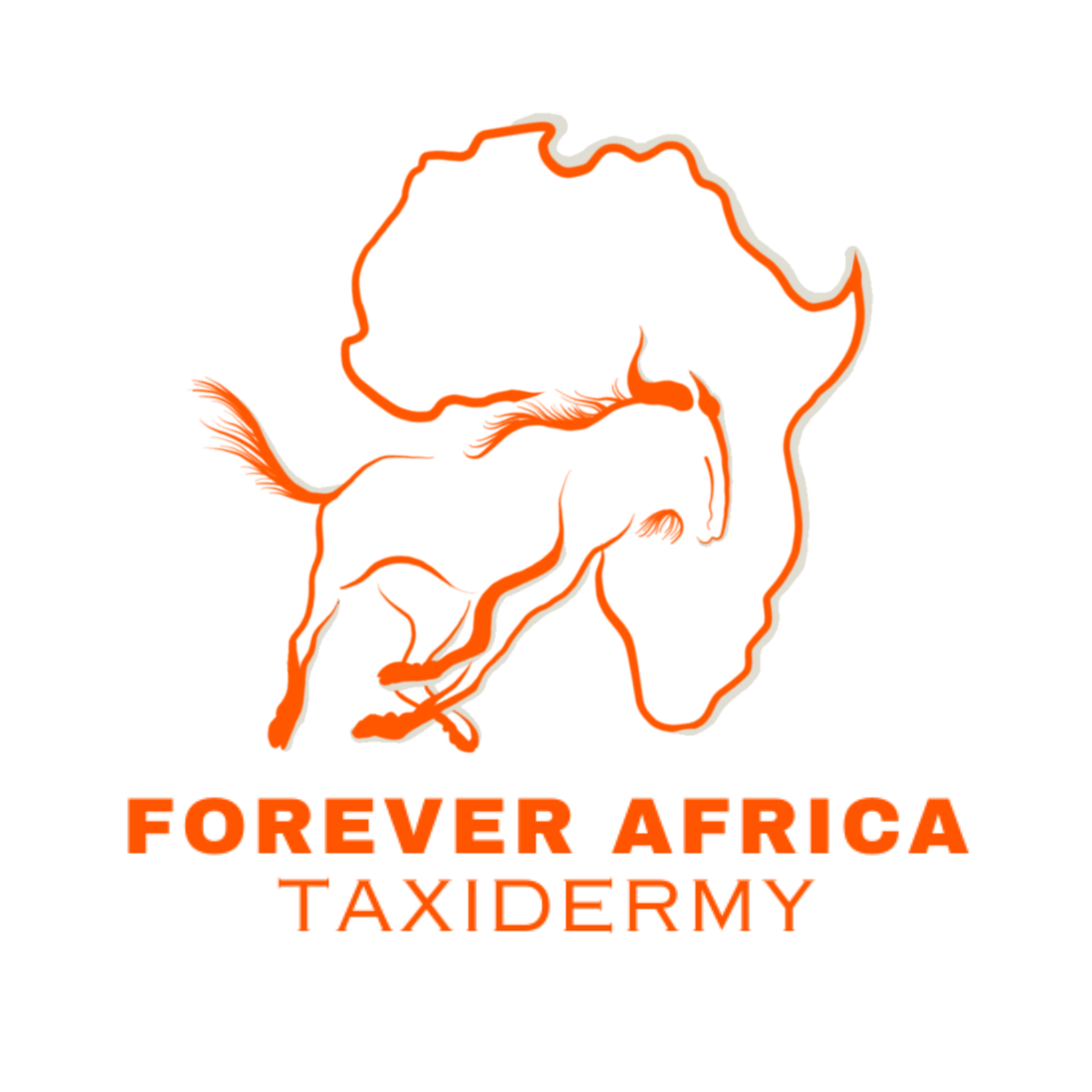 Forever Africa Taxidermy & Tannery